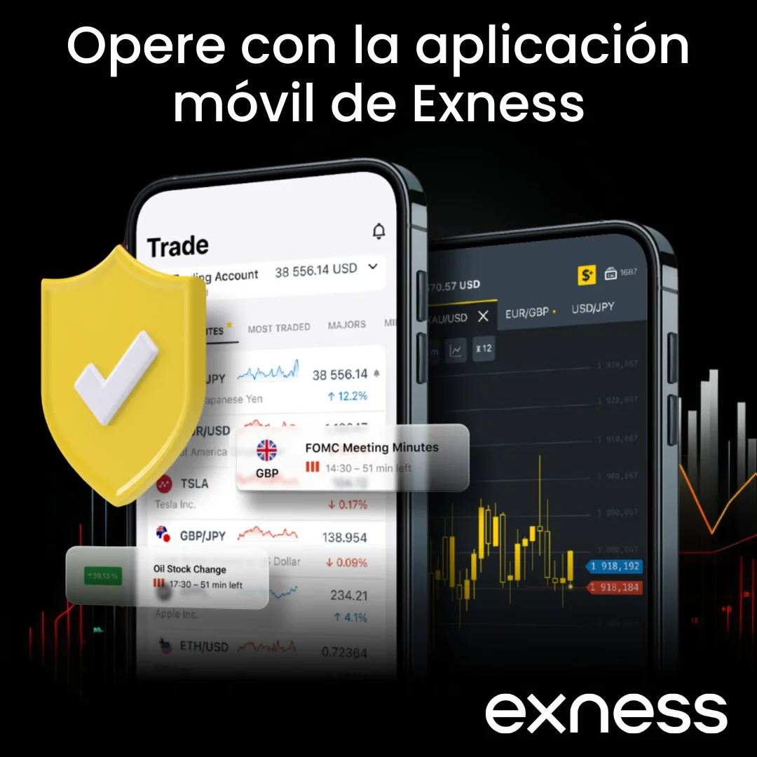 Estado de la licencia y regulación de Exness