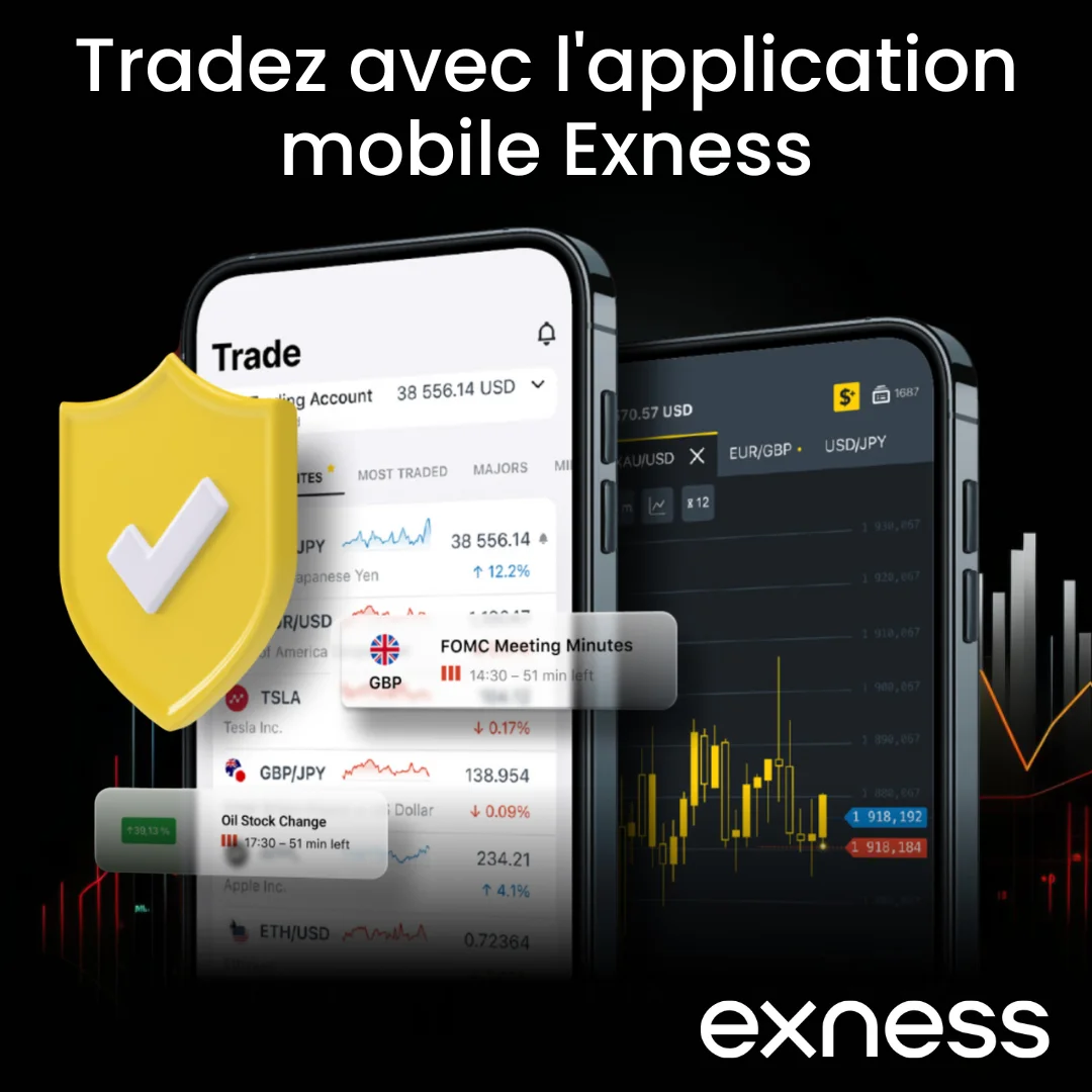 Statut de licence et de réglementation d'Exness