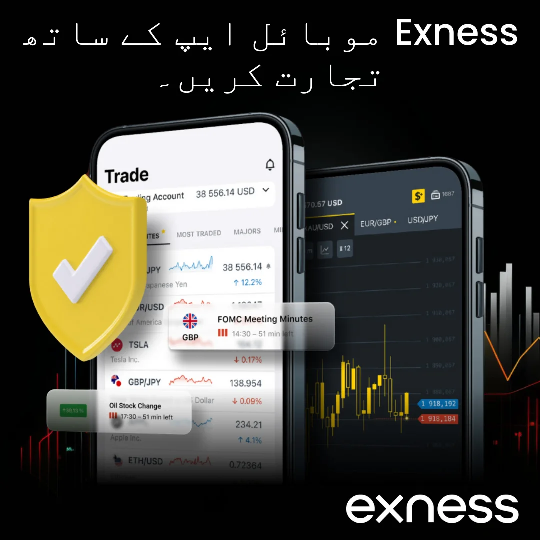 Exness لائسنسنگ اور ضابطہ کی حیثیت