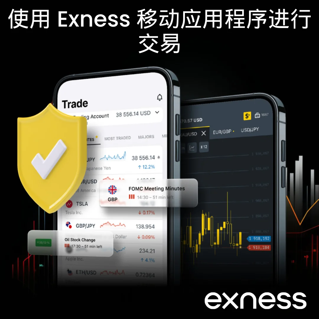 Exness 许可和监管状态